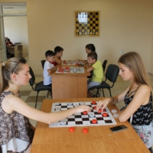 шашки шашки