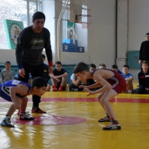 Спорт (8) Спорт (8)