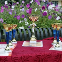 Легкоатлетическая эстафета (5) Легкоатлетическая эстафета (5)