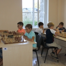 шахматы (7) шахматы (7)