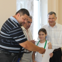 шахматы (8) шахматы (8)