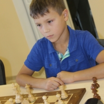 шахматы (6) шахматы (6)