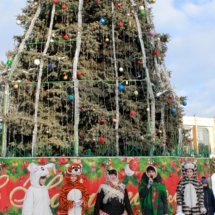 В Рыбнице состоялось закрытие главной городской ёлки (1) В Рыбнице состоялось закрытие главной городской ёлки (1)