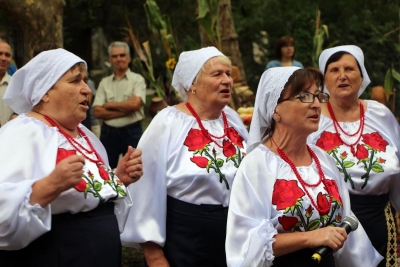 13 (1) (1) (1) (1) (1) (1) (1) (1) (1) (1)