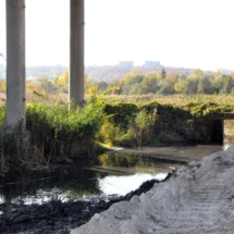 В Северной столице идут работы по санации русла реки Сухая Рыбница В Северной столице идут работы по санации русла реки Сухая Рыбница