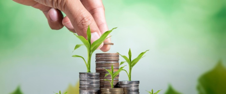 <a href="https://rybnitsa.org/%d0%b3%d0%be%d1%81%d0%b0%d0%b4%d0%bc%d0%b8%d0%bd%d0%b8%d1%81%d1%82%d1%80%d0%b0%d1%86%d0%b8%d1%8f-%d0%bf%d1%80%d0%b8%d0%bd%d0%b8%d0%bc%d0%b0%d0%b5%d1%82-%d0%b7%d0%b0%d1%8f%d0%b2%d0%ba%d0%b8-%d0%bd-6/">Госадминистрация принимает заявки на бюджетное кредитование КФХ и юридических лиц</a> <a href="https://rybnitsa.org/%d0%b3%d0%be%d1%81%d0%b0%d0%b4%d0%bc%d0%b8%d0%bd%d0%b8%d1%81%d1%82%d1%80%d0%b0%d1%86%d0%b8%d1%8f-%d0%bf%d1%80%d0%b8%d0%bd%d0%b8%d0%bc%d0%b0%d0%b5%d1%82-%d0%b7%d0%b0%d1%8f%d0%b2%d0%ba%d0%b8-%d0%bd-6/">Госадминистрация принимает заявки на бюджетное кредитование КФХ и юридических лиц</a>