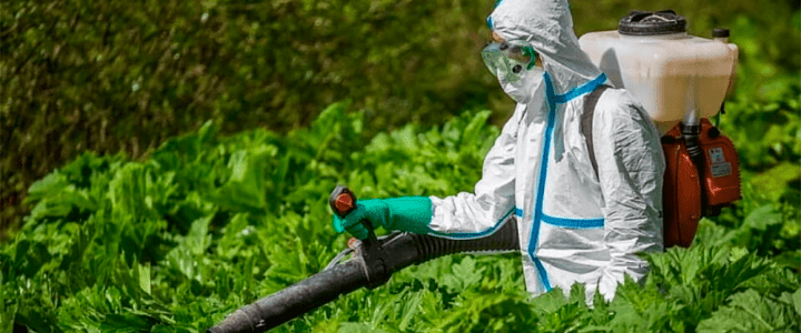 В Рыбнице начались работы по уничтожению клещей и личинок комаров