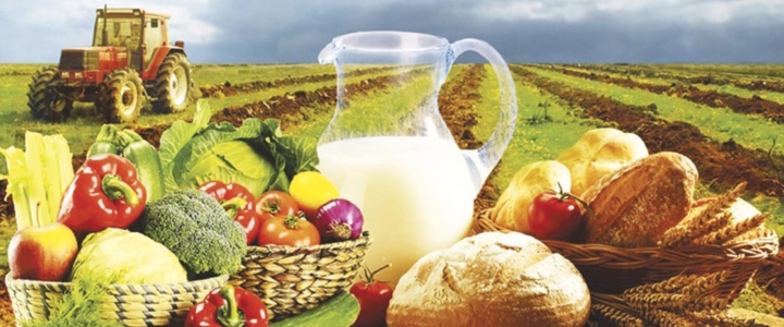 Поздравление главы госадминистрации с Днем работника отраслей сельского хозяйства и перерабатывающей промышленности Поздравление главы госадминистрации с Днем работника отраслей сельского хозяйства и перерабатывающей промышленности