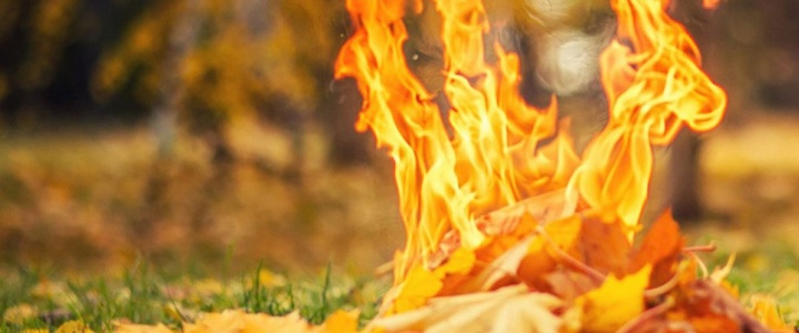 Штаб гражданской обороны напоминает о запрете сжигания листвы Штаб гражданской обороны напоминает о запрете сжигания листвы