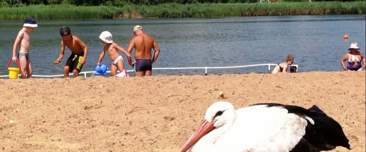 Меры безопасности на водных объектах в летний период Меры безопасности на водных объектах в летний период