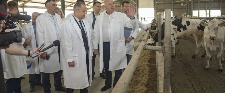 Государственная поддержка – залог эффективного развития фермерских хозяйств