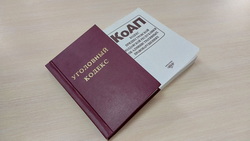 Криминальная хроника