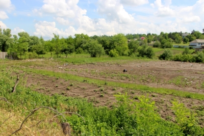 Красненькое (7)