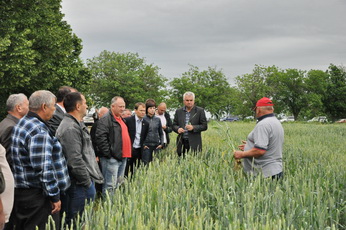 Сельскохозяйственные поля в Рыбницком районе находятся в удовлетворительном состоянии