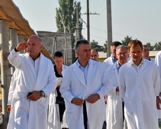 Президент Приднестровья побывал на сельскохозяйственных предприятиях Рыбницкого района