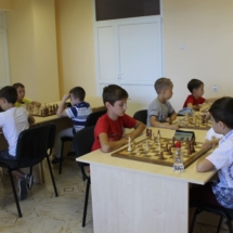 шахматы (4)