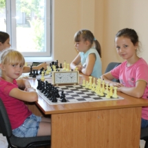 шахматы (5)