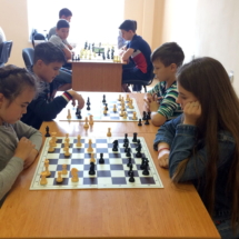 Командные соревнования по шахматам (1)