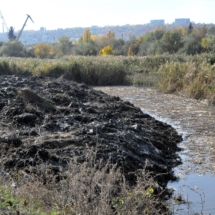 В Северной столице идут работы по санации русла реки Сухая Рыбница