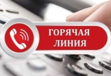 Телефоны горячих линий по вопросам временного размещения граждан, прибывающих из Украины