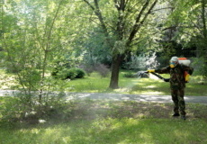 В Рыбнице и в селах района проводится дезинсекция от клещей