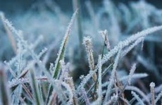 Гидрометцетр предупреждает о заморозках