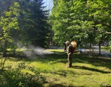 В Рыбнице проводится дезинсекция от клещей