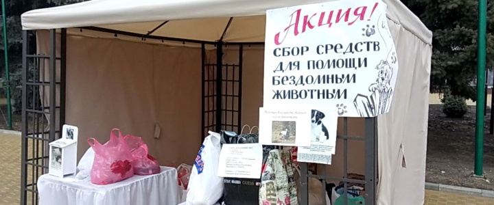 Рыбничане собрали более 4 тысяч рублей для бездомных животных