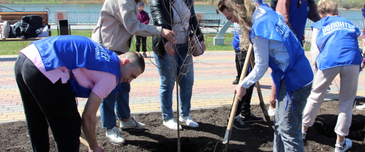 Волонтёры посадили деревья в парке «Набережный»