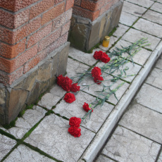 «Дорога памяти жертв Холокоста»