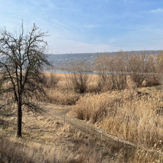 Глава госадминистрации проверил состояние противопаводковых гидротехнических сооружений реки Днестр