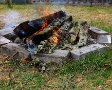 Пожарная безопасность в период празднования майских праздников Пожарная безопасность в период празднования майских праздников