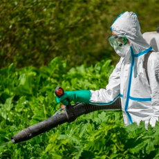 В Рыбнице начались работы по уничтожению клещей и личинок комаров